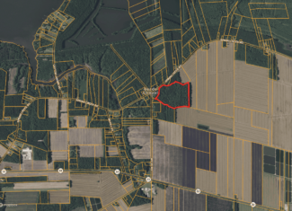 30 Acres Timberland for Sale Near Aurora, NC
